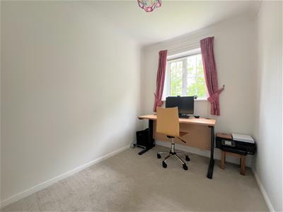 Picture 12